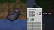 Squids drop ink sacs that can be used as black dye (Image via Sportskeeda Gaming || Mojang Studios)